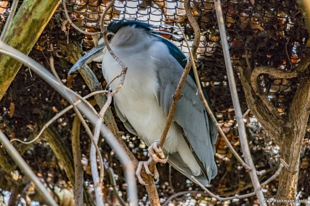 Tierpark_Hamm_2015_021