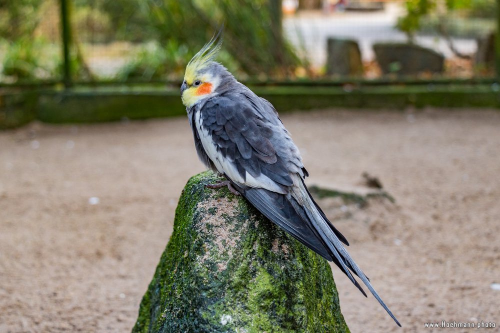 Tierpark_Hamm_2015_030