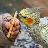 Tierpark_Hamm_2015_032