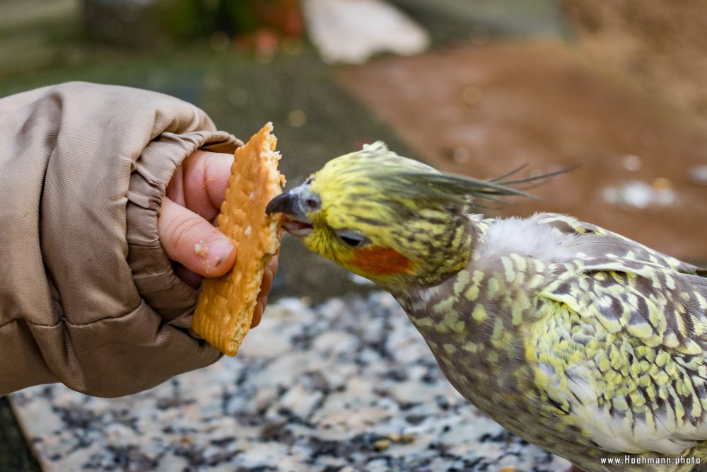 Tierpark_Hamm_2015_033