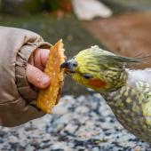 Tierpark_Hamm_2015_033