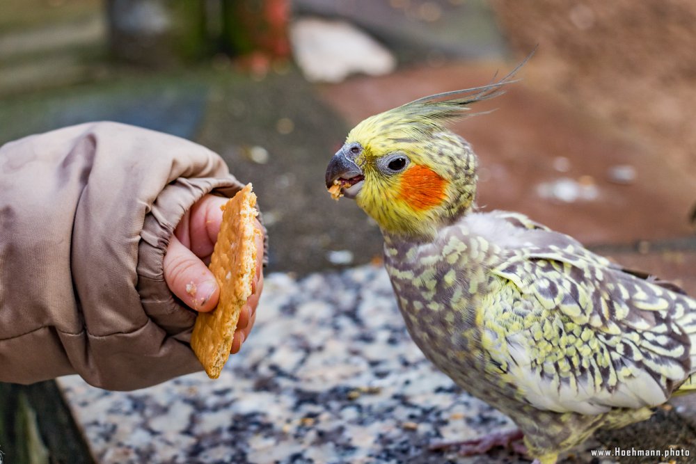 Tierpark_Hamm_2015_034