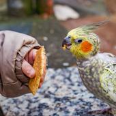 Tierpark_Hamm_2015_034