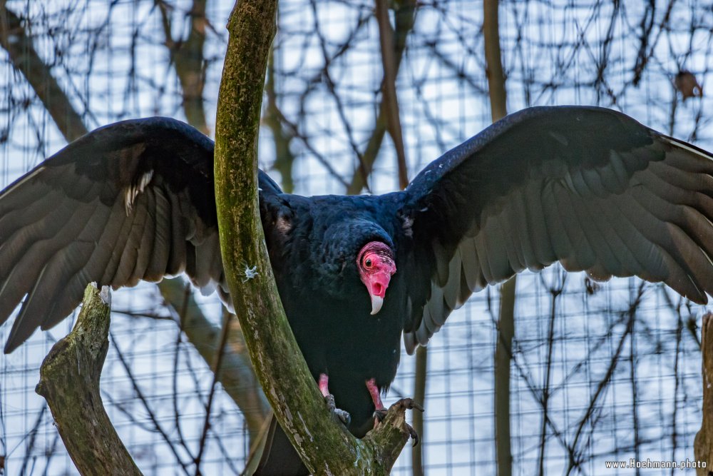 Tierpark_Hamm_2015_039