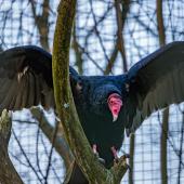 Tierpark_Hamm_2015_039