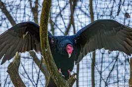 Tierpark Hamm 29.12.2015