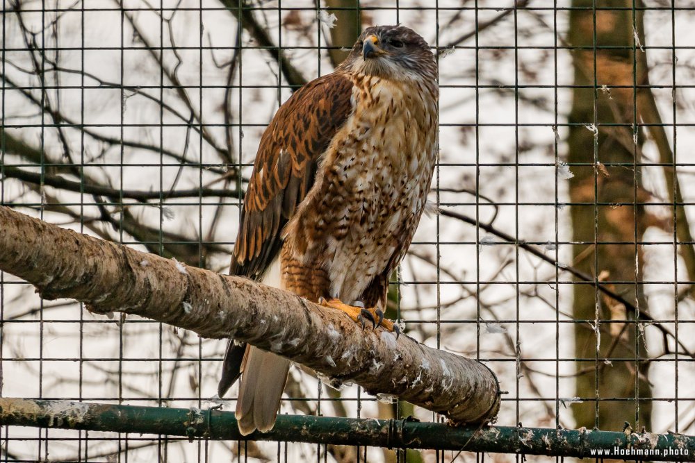 Tierpark_Hamm_2015_040