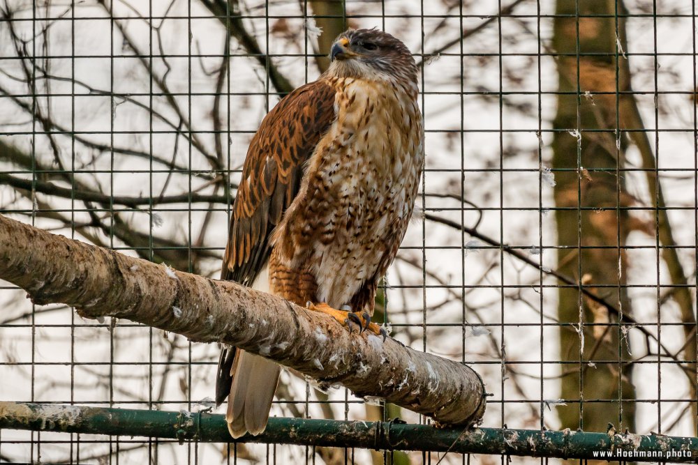 Tierpark_Hamm_2015_041