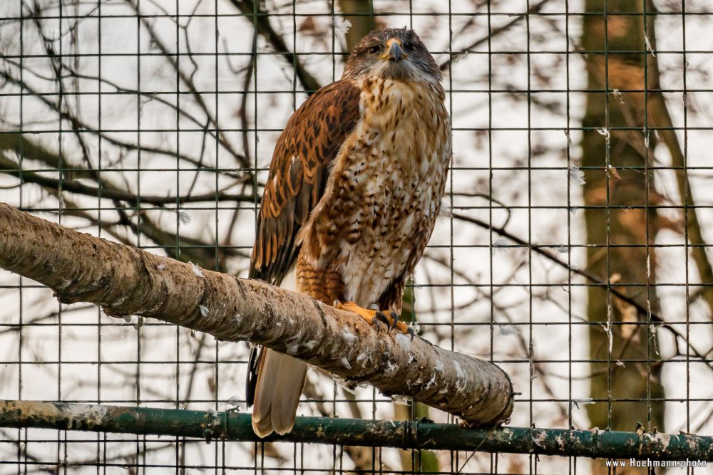 Tierpark_Hamm_2015_042