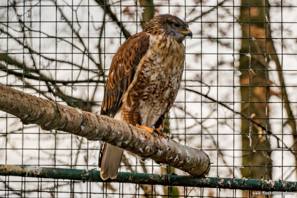 Tierpark_Hamm_2015_043