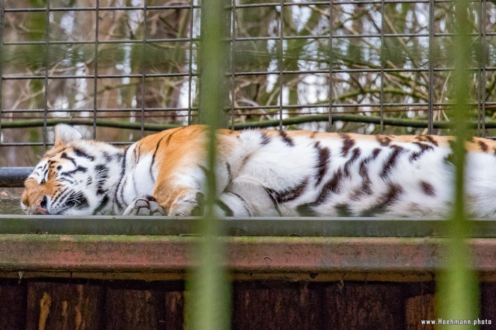 Tierpark_Hamm_2015_049