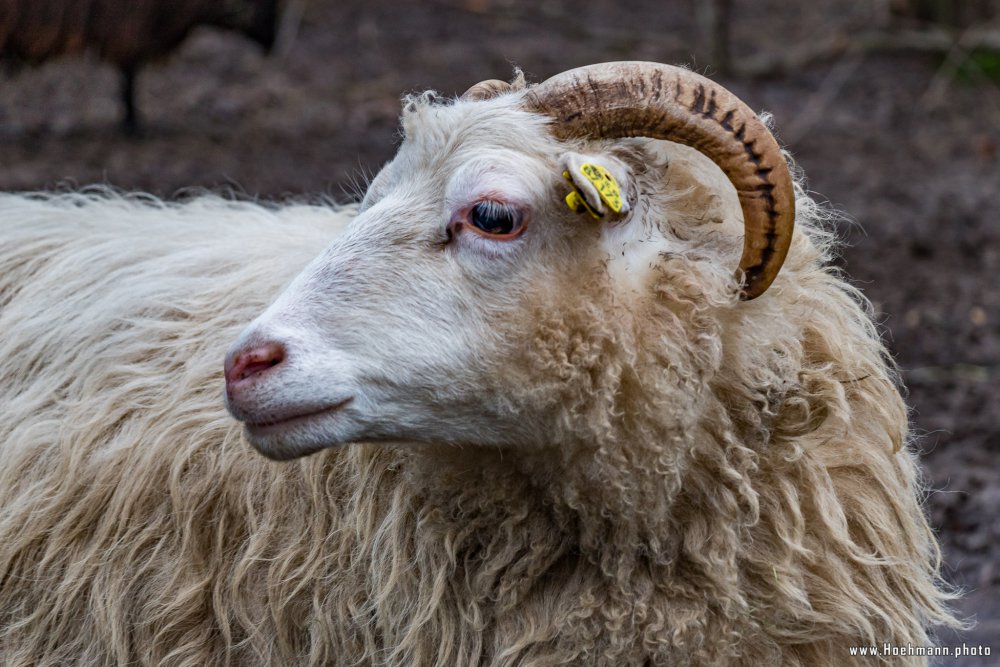 Tierpark_Hamm_2015_050