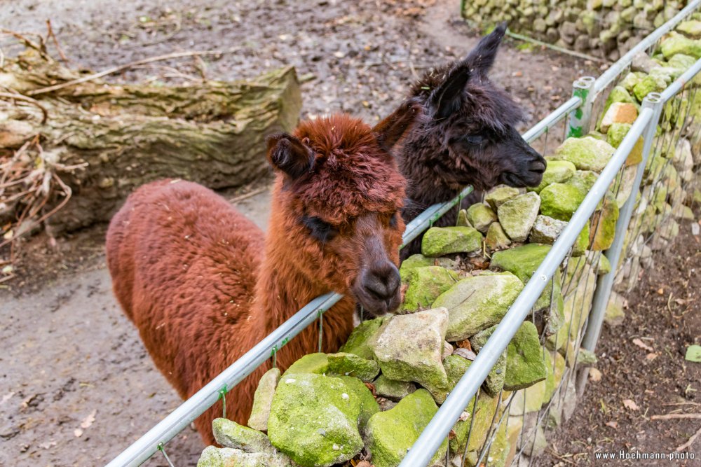 Tierpark_Hamm_2015_055