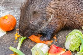 Tierpark Hamm 29.12.2015