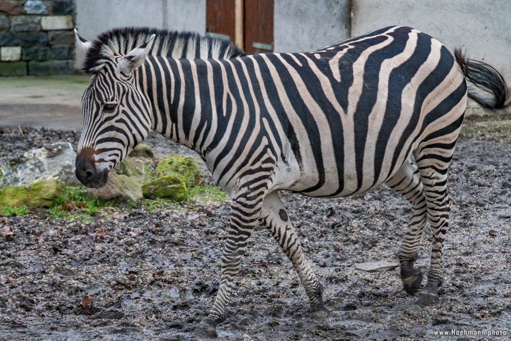 Tierpark_Hamm_2015_060