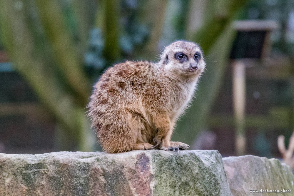 Tierpark_Hamm_2015_061