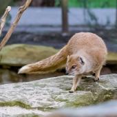 Tierpark_Hamm_2015_063