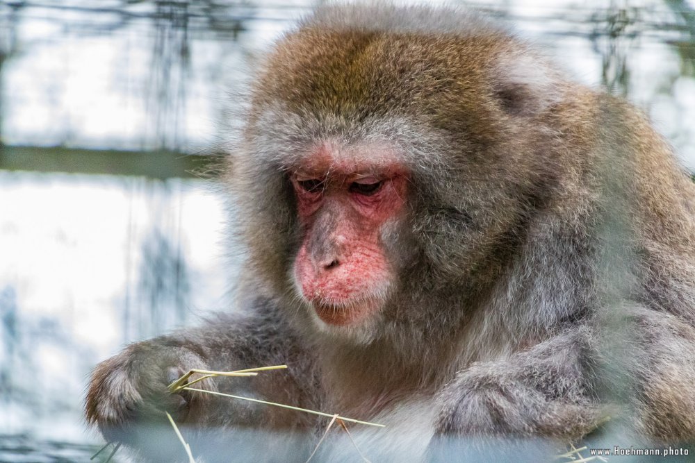 Tierpark_Hamm_2015_064