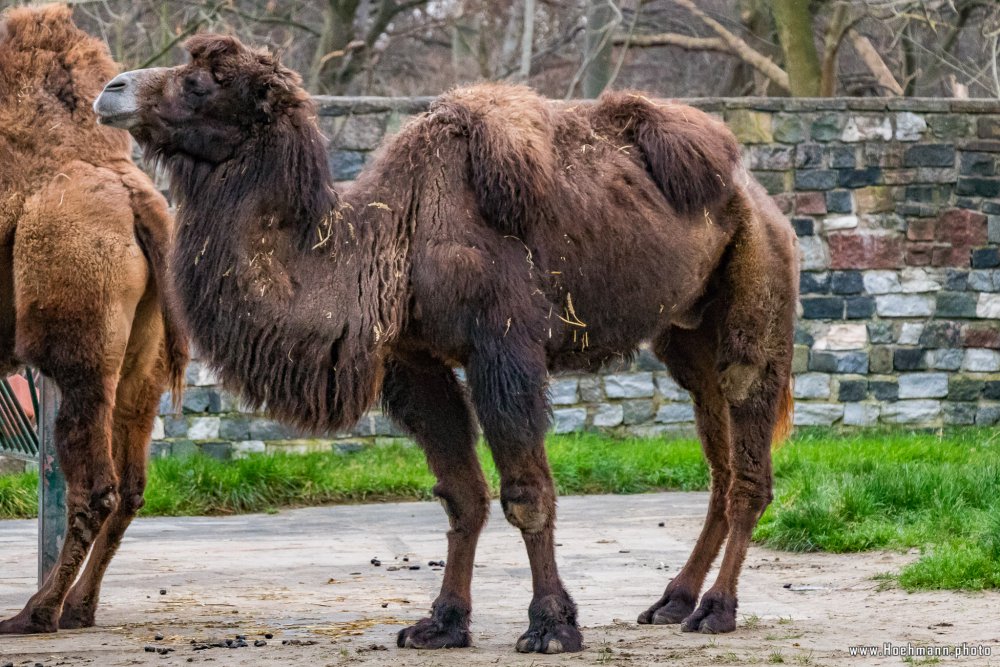 Tierpark_Hamm_2015_065