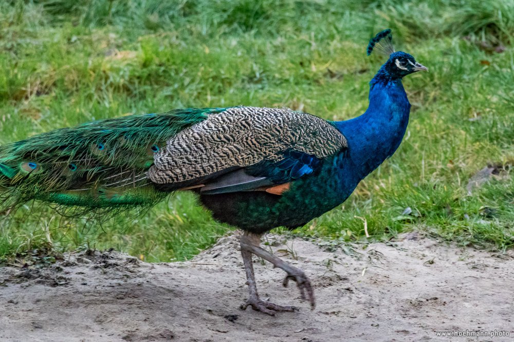 Tierpark_Hamm_2015_066