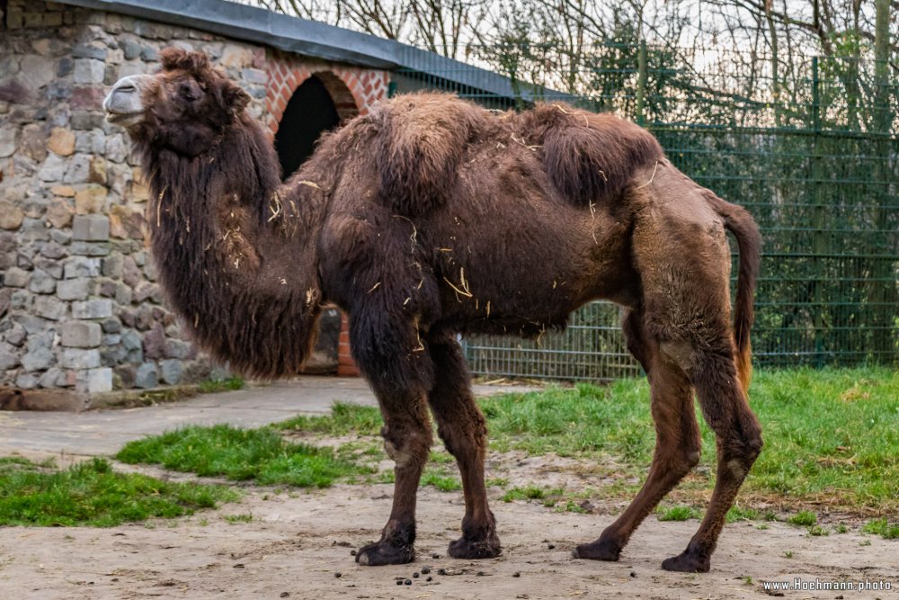 Tierpark_Hamm_2015_068