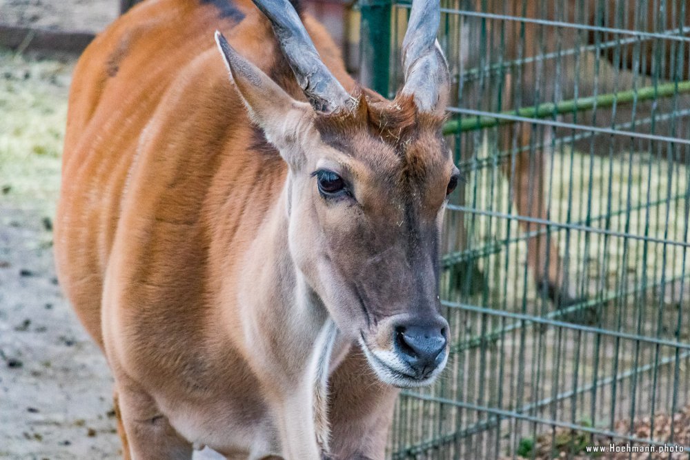 Tierpark_Hamm_2015_069