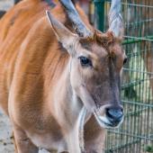 Tierpark_Hamm_2015_069