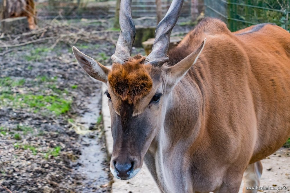 Tierpark_Hamm_2015_070