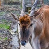 Tierpark_Hamm_2015_070