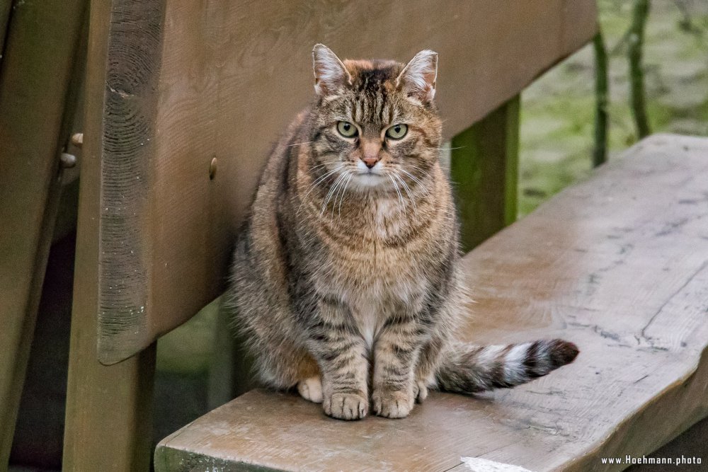 Tierpark_Hamm_2015_075