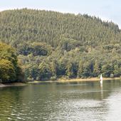 Sauerland_007