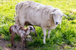 Urlaub Sauerland 2017