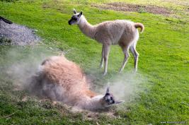 Urlaub Sauerland 2017