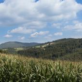 Sauerland_141