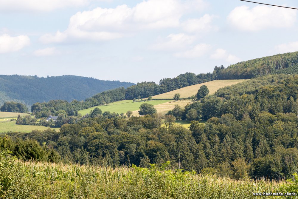 Sauerland_142