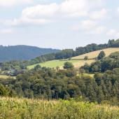 Sauerland_142