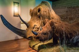 Wasserschloss Werdringen 13.05.2017