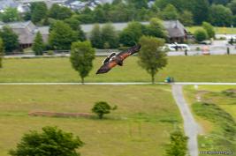 Wild Freizeitpark Willingen 10.06.2020