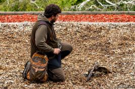 Wild Freizeitpark Willingen 10.06.2020