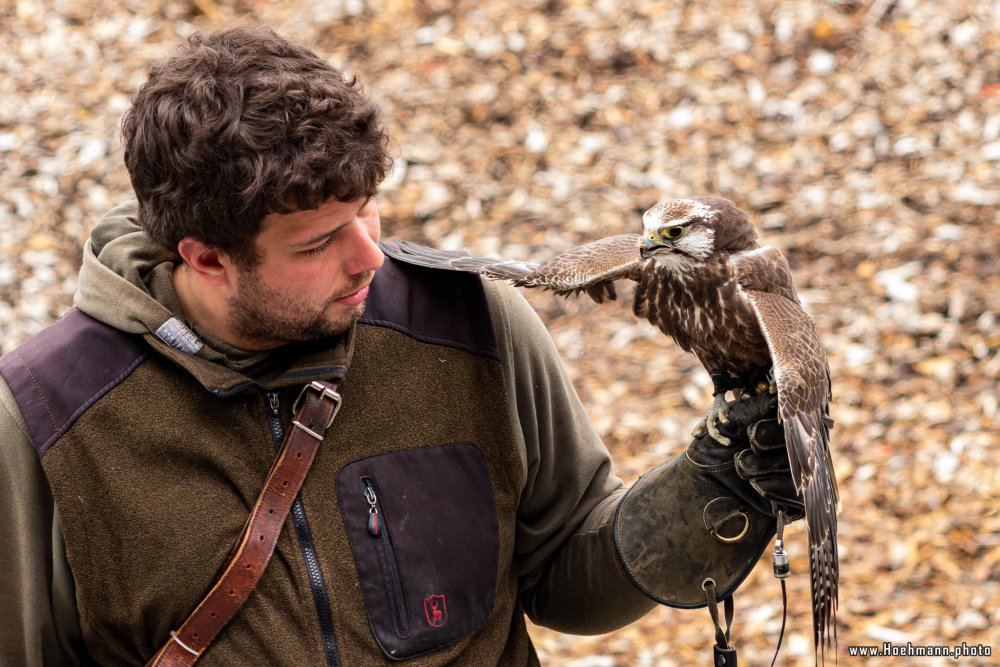 Wildpark-Willingen_037