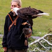 Wildpark-Willingen_038