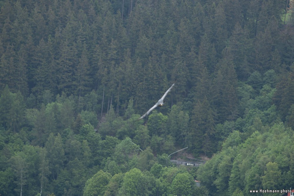 Wildpark-Willingen_055