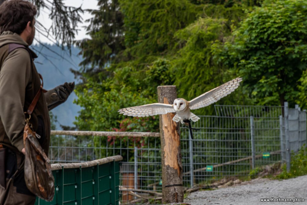 Wildpark-Willingen_074