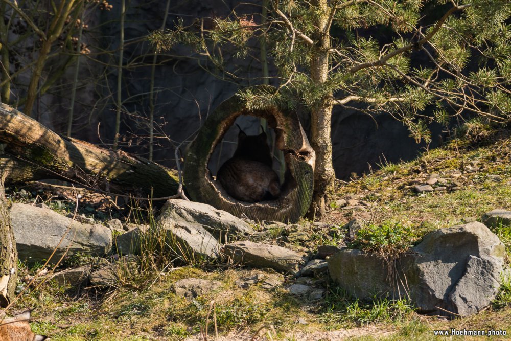 ZOOM-Erlebniswelt_003