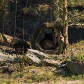 ZOOM-Erlebniswelt_003