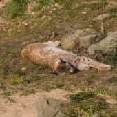 ZOOM-Erlebniswelt_006