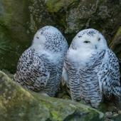 ZOOM-Erlebniswelt_008