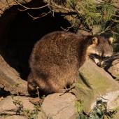 ZOOM-Erlebniswelt_009