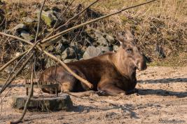 ZOOM Erlebniswelt 17.03.2016
