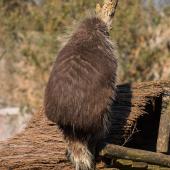 ZOOM-Erlebniswelt_020